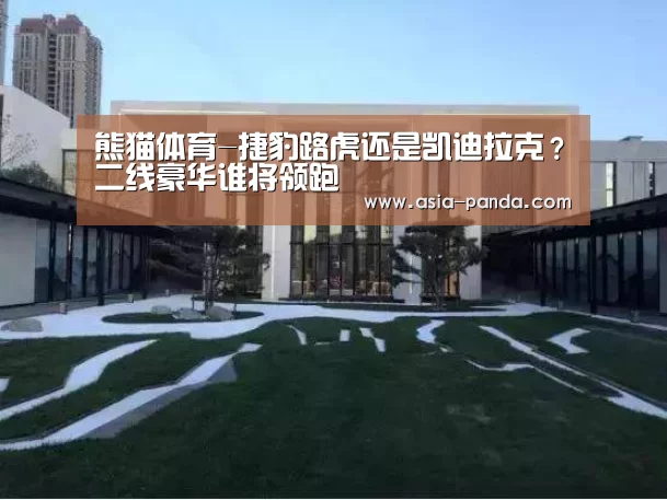 熊猫体育直播
