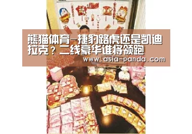 熊猫体育平台