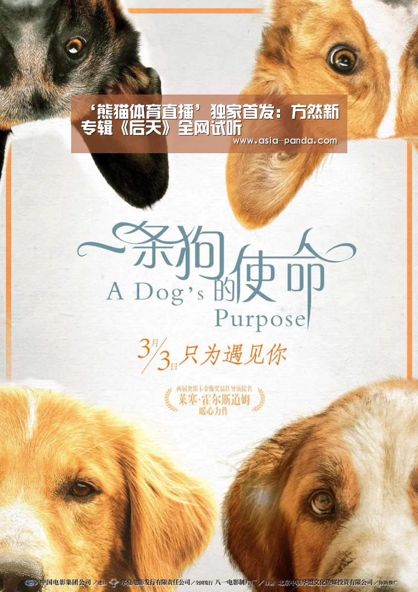 熊猫体育平台