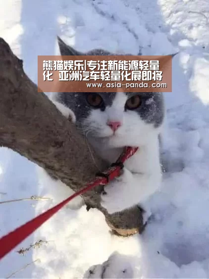 熊猫娱乐|专注新能源轻量化 亚洲汽车轻量化展即将举行(图1) 熊猫娱乐