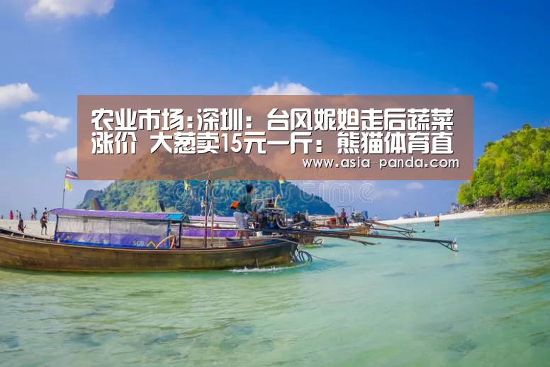 农业市场:深圳:台风妮妲走后蔬菜涨价 大葱卖15元一斤:熊猫体育直播(图1) 熊猫体育平台