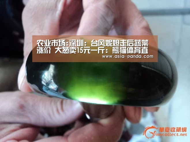 农业市场:深圳:台风妮妲走后蔬菜涨价 大葱卖15元一斤:熊猫体育直播(图2) 熊猫娱乐