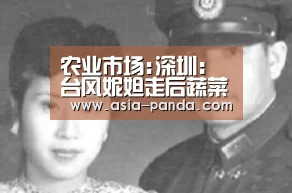 农业市场:深圳:台风妮妲走后蔬菜涨价 大葱卖15元一斤:熊猫体育直播(图4) 熊猫体育
