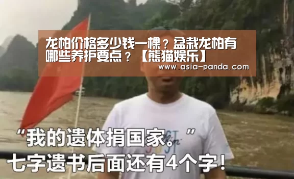 熊猫体育直播