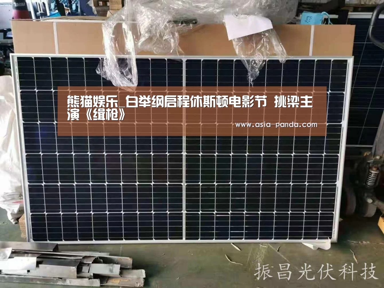 熊猫娱乐_白举纲启程休斯顿电影节 挑梁主演《缉枪》(图1) 熊猫体育直播