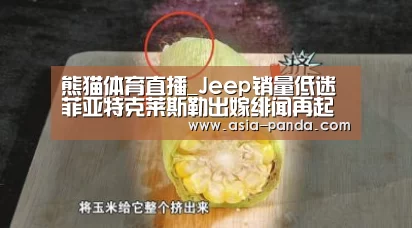 熊猫体育平台