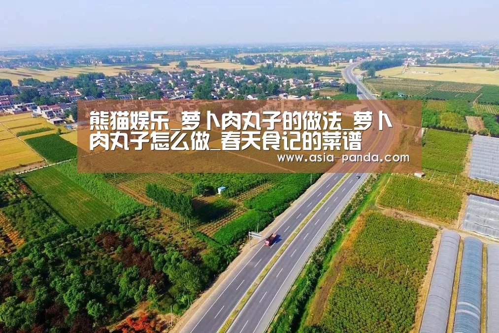 熊猫娱乐_萝卜肉丸子的做法_萝卜肉丸子怎么做_春天食记的菜谱(图4) 熊猫体育